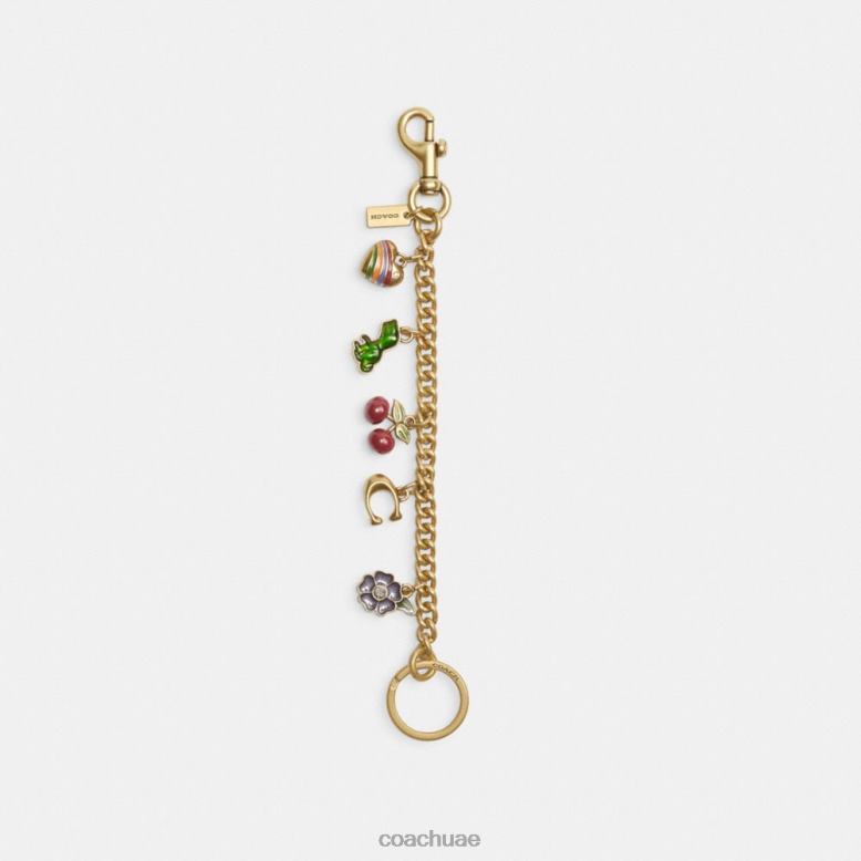 Coach نحيف سحر حقيبة سلسلة عزر ب4/متعدد 46266525