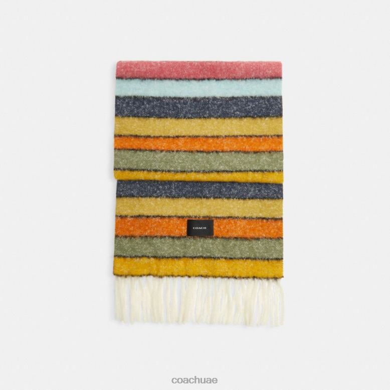 Coach نحيف كاتم الصوت مخطط متعدد 46266574