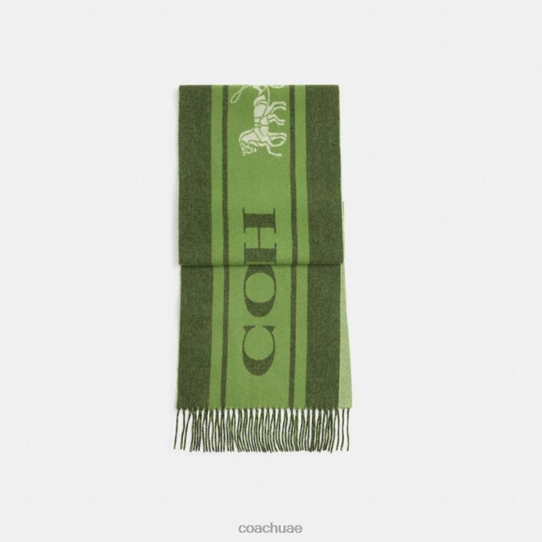 Coach نحيف كاتم صوت الكشمير الرياضي الأمازون الأخضر 46266583